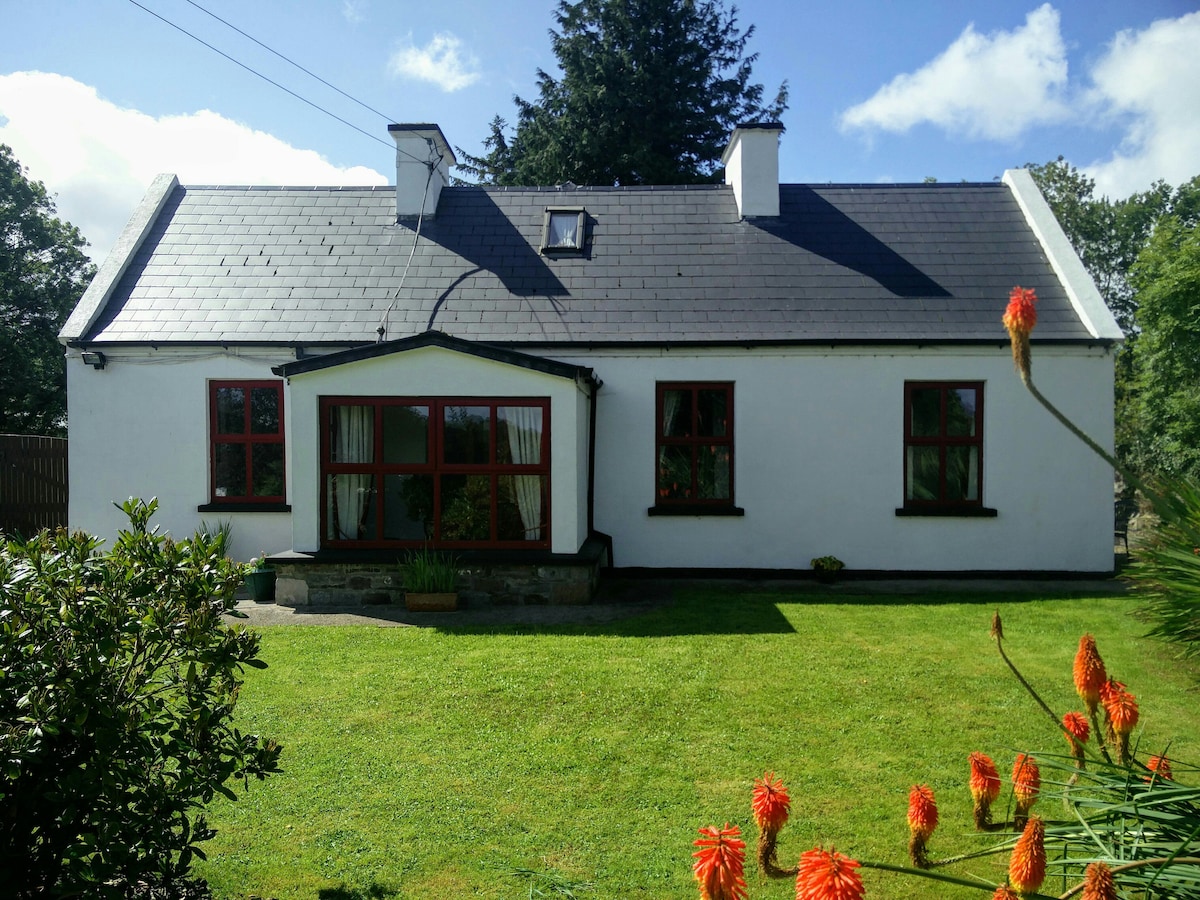 Burren Lowlands的Wild West Cottage