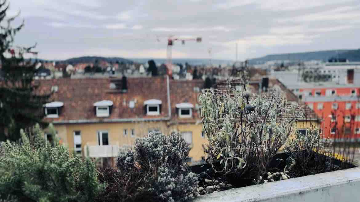 Blühendes Balkonwohnung, Traumaussicht+Kochservice