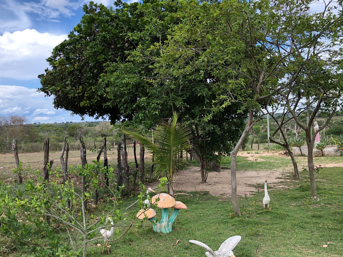 Fazenda Em Buique Pernambuco