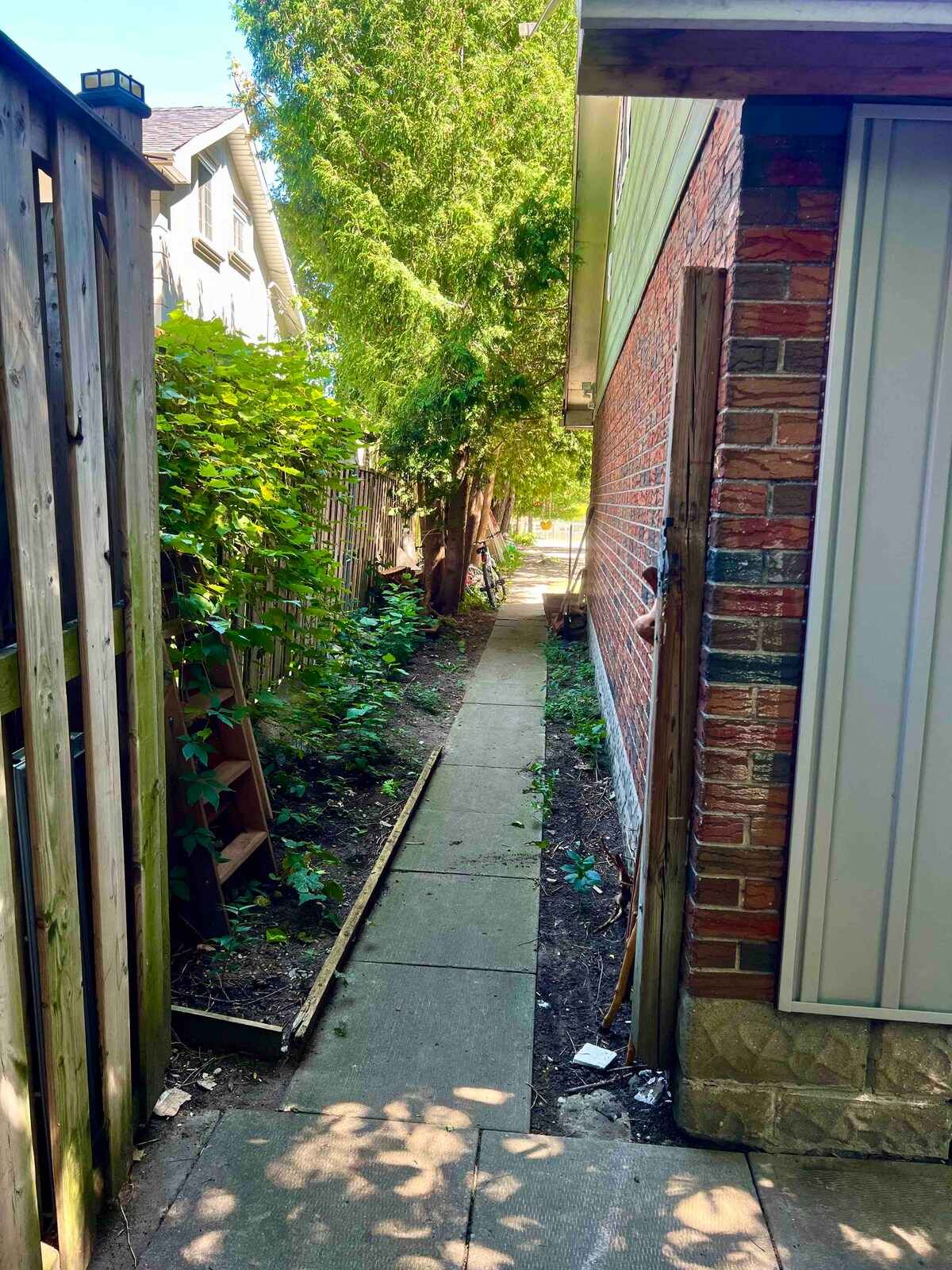 Tiny home in a backyard garden