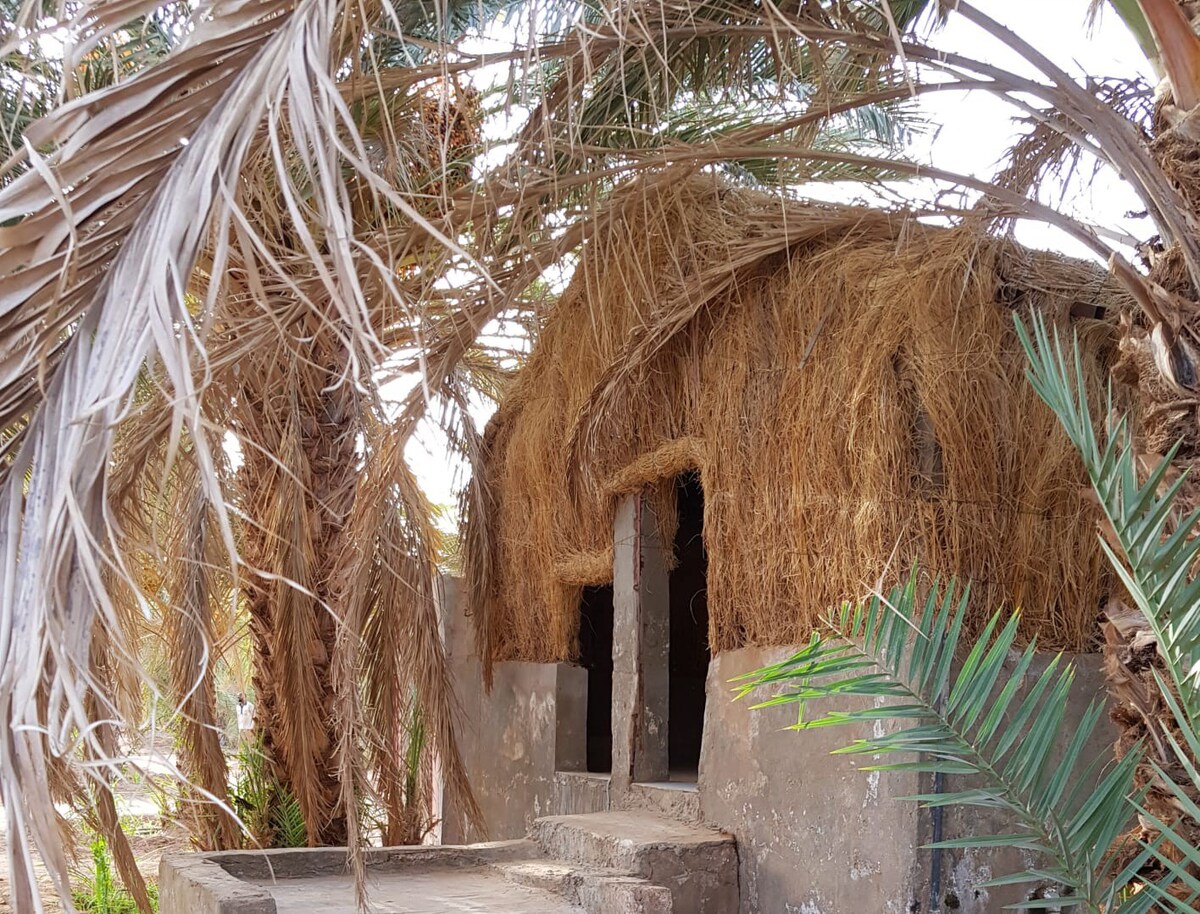 Oasis of Ouadane / Paradis de Ouadane