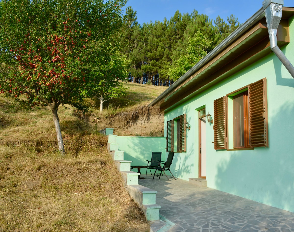 Little Green Dacha