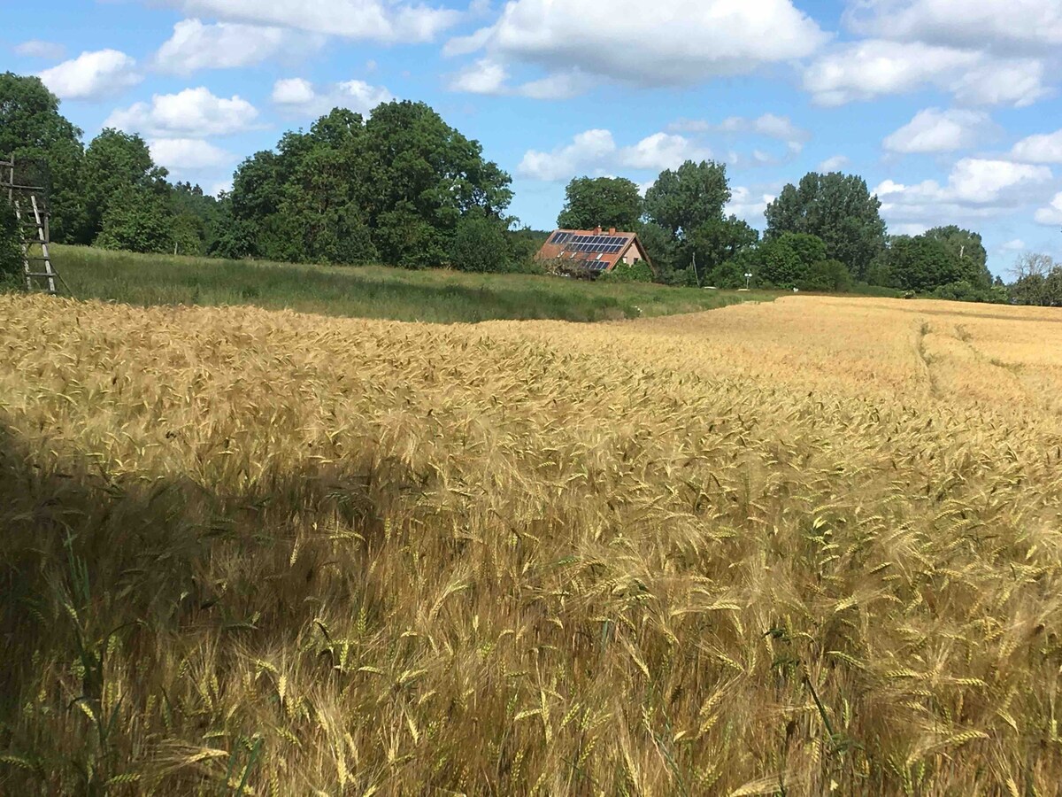 Am Wald-Rand