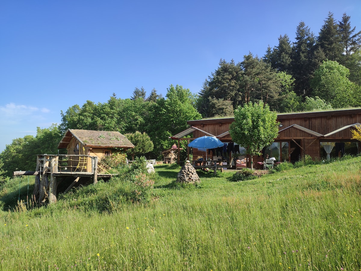 Maison écologique et sa cabane au bord des bois !