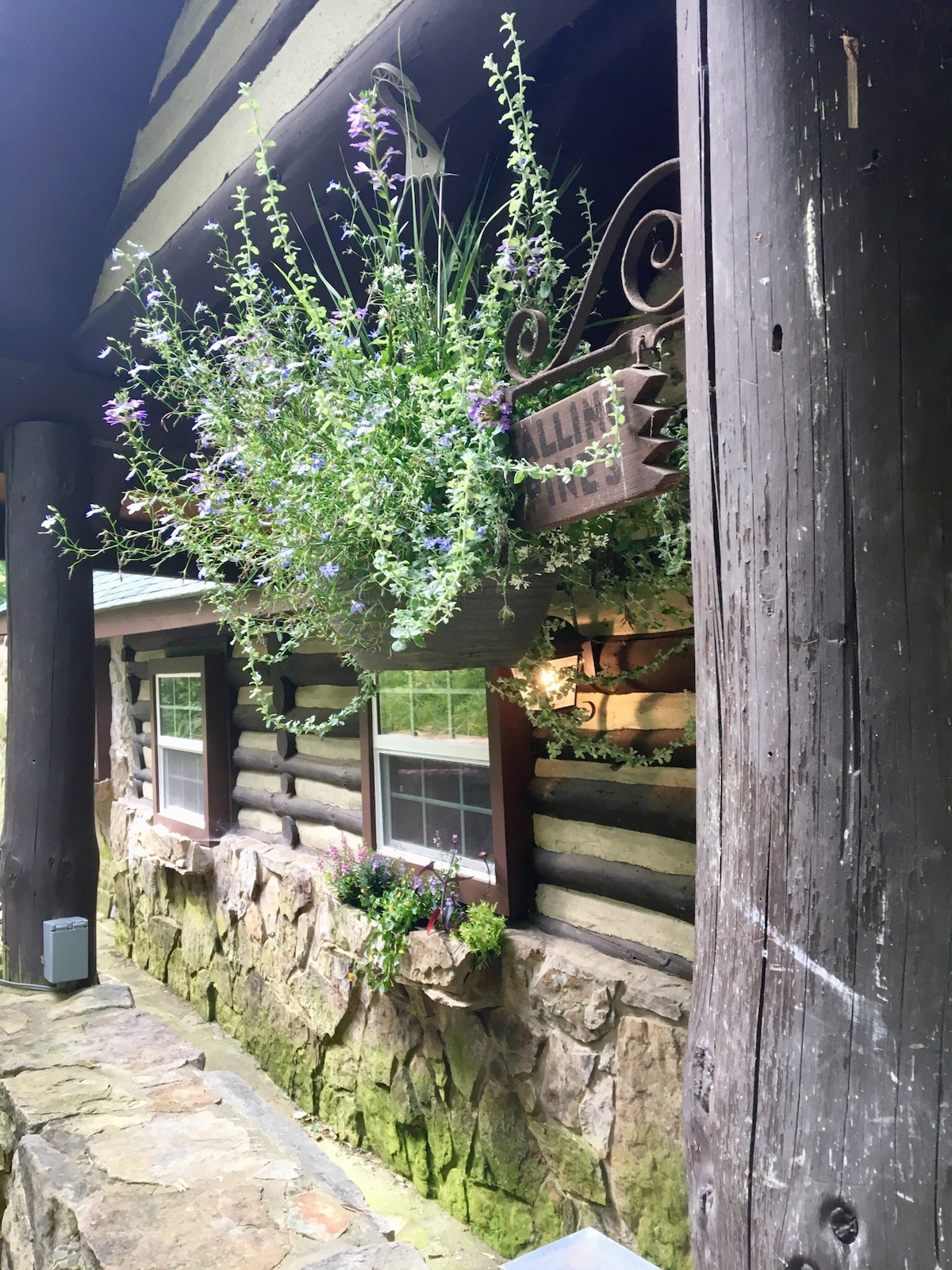 坠落的松树历史小屋