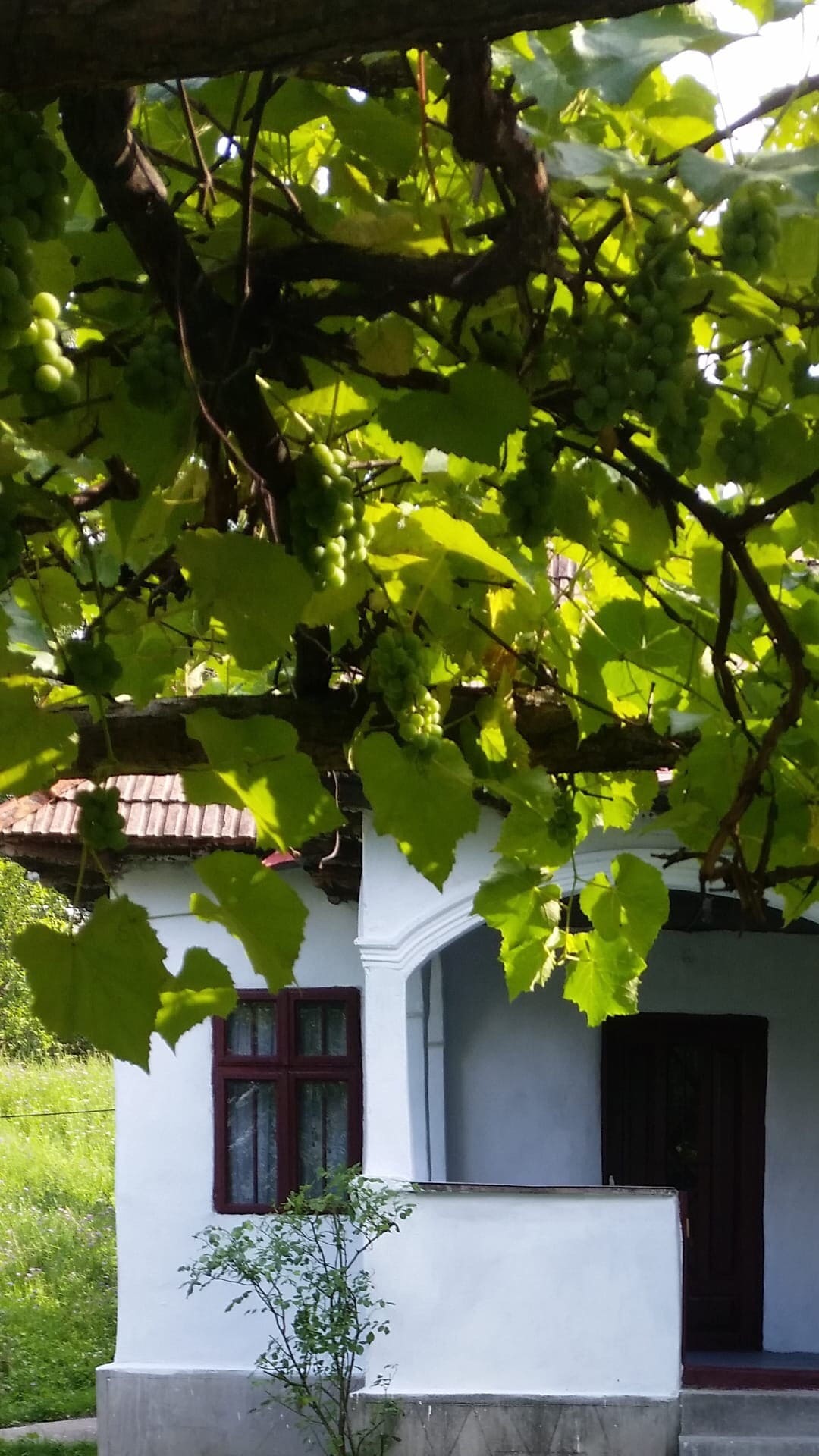 Plaiu - Viorel 's Porch的乡村小屋