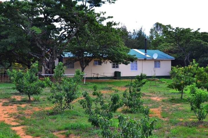 Mbizi Cottage