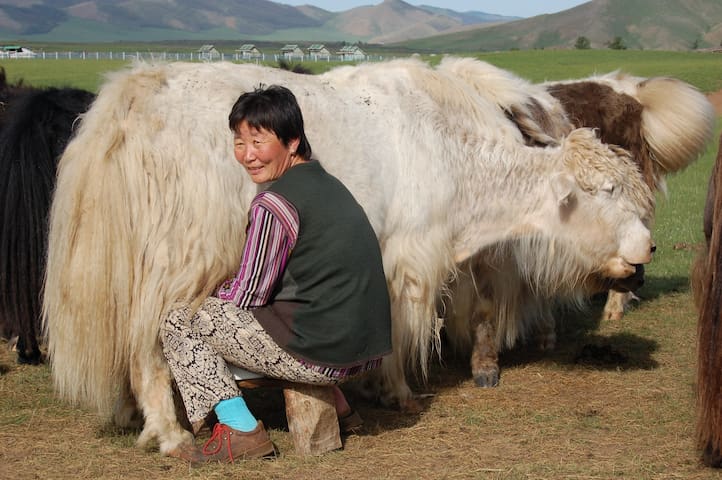 Ulaanbaatar的民宿