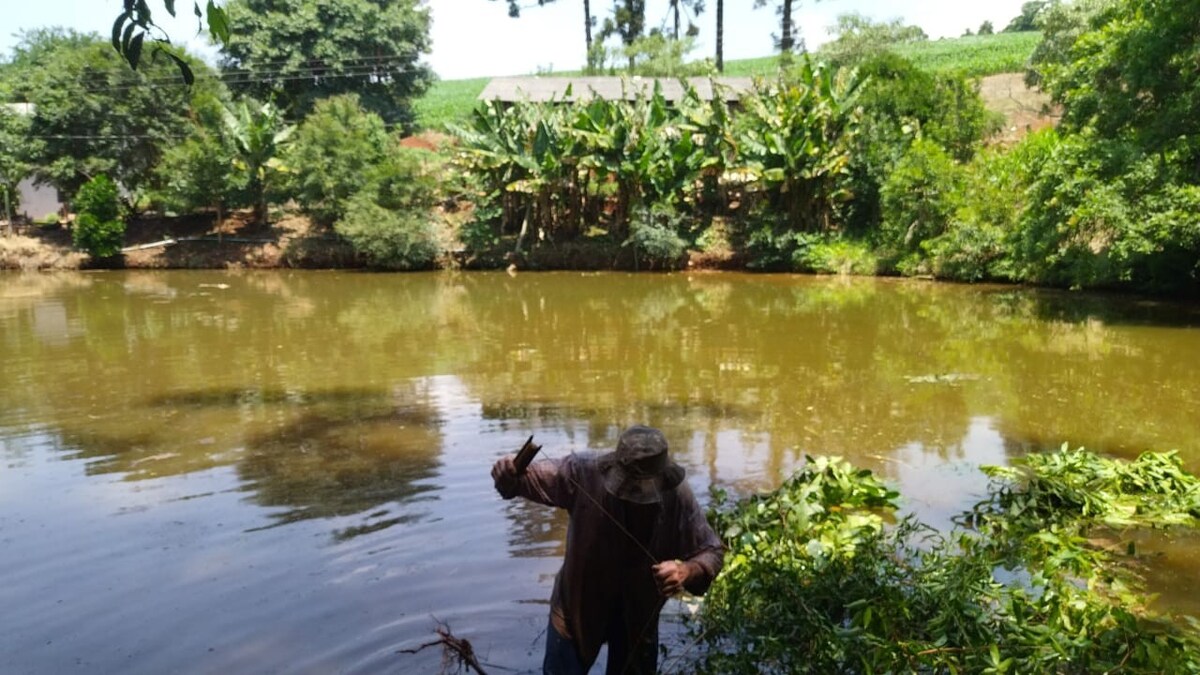 Linda casa de campo com lago, piscina e sinuca