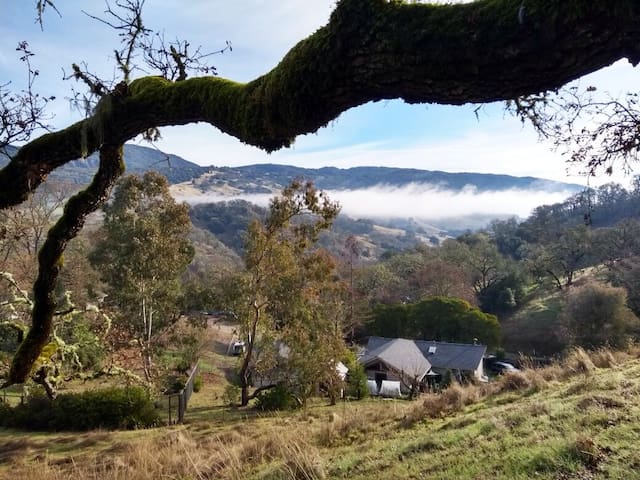 尤奇亚(Ukiah)的民宿