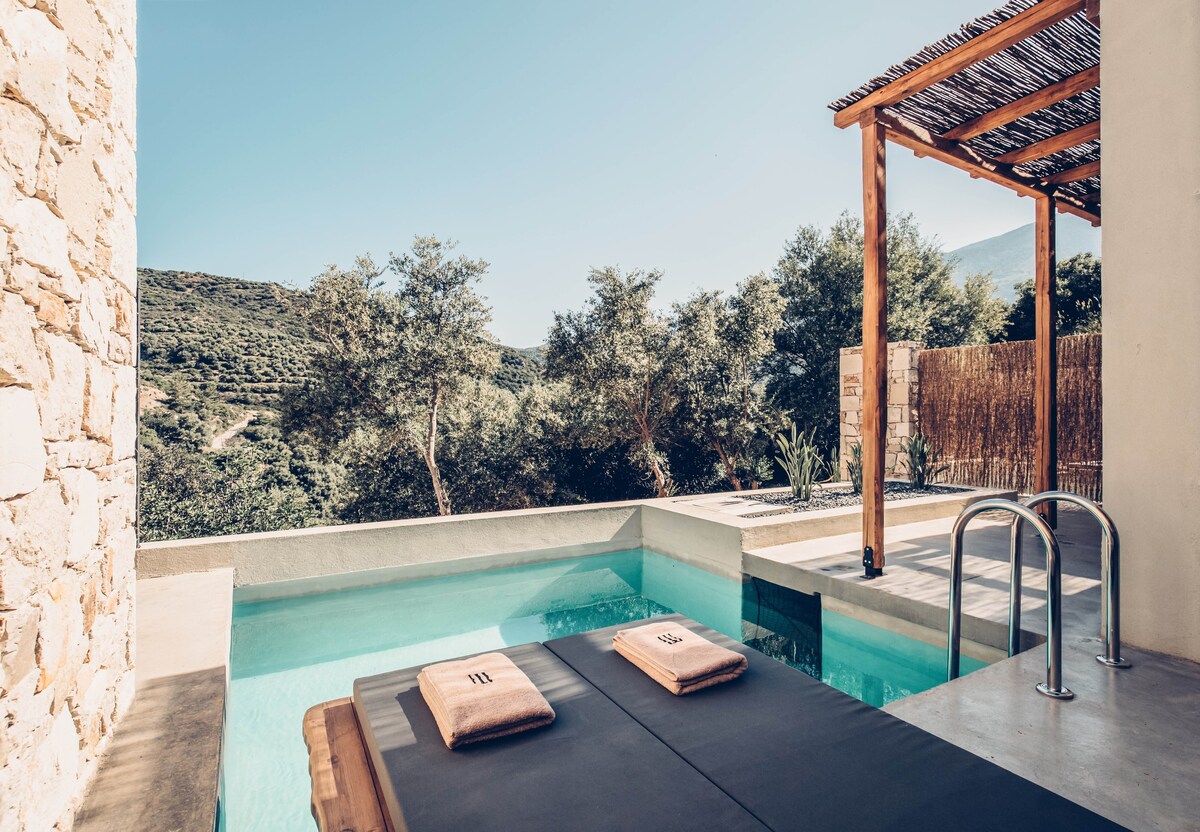 带私人泳池和橄榄农场景观的高级度假屋