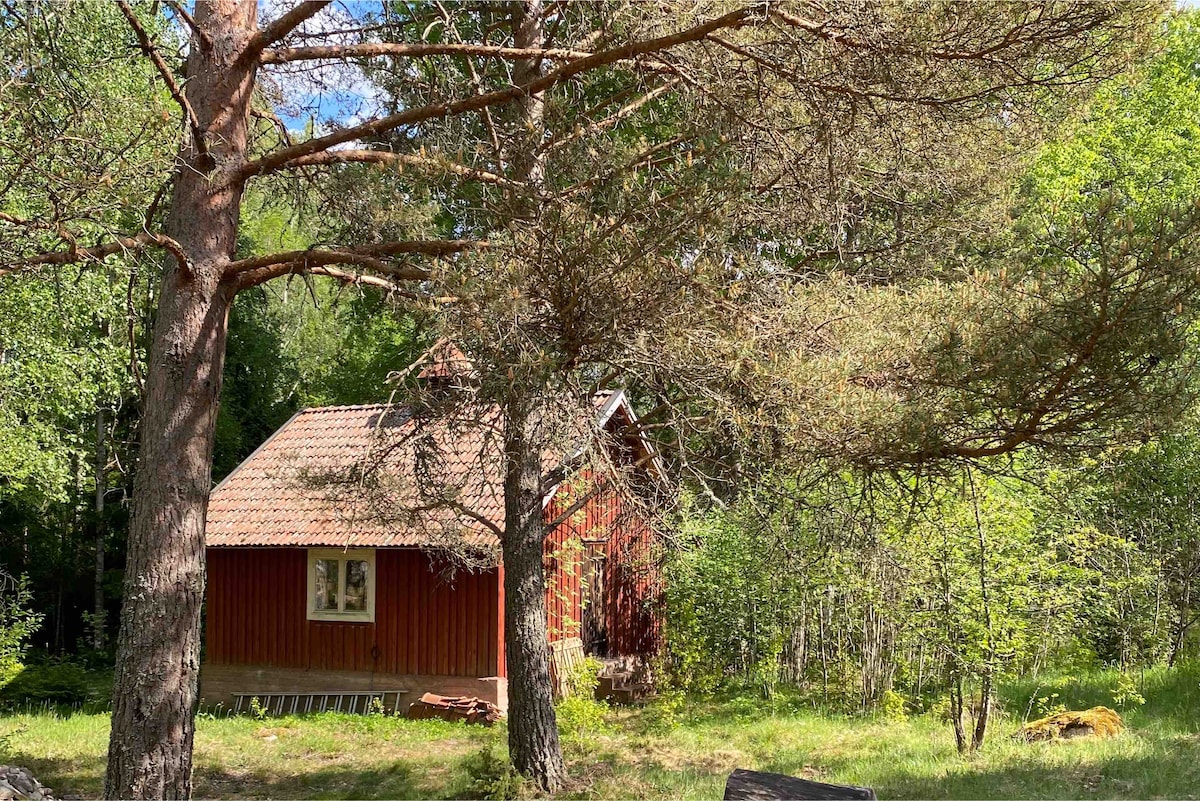 Huisje bij het bos