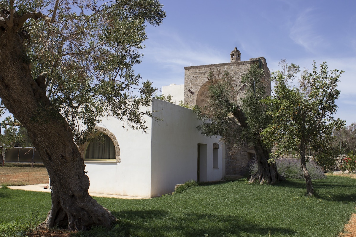 Agriturismo Casina Spiggiano Alloggio STALLA