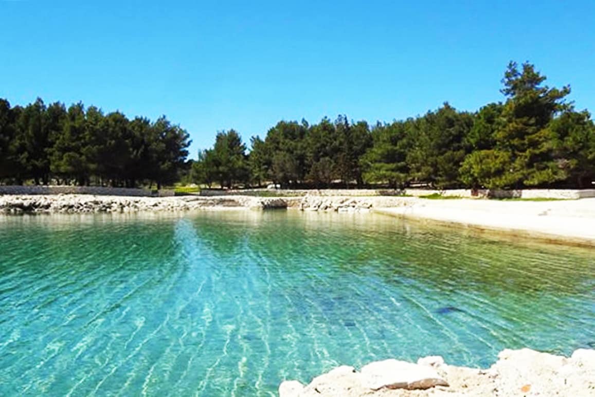 Vir 4 you near a quiet beach and a pine forest