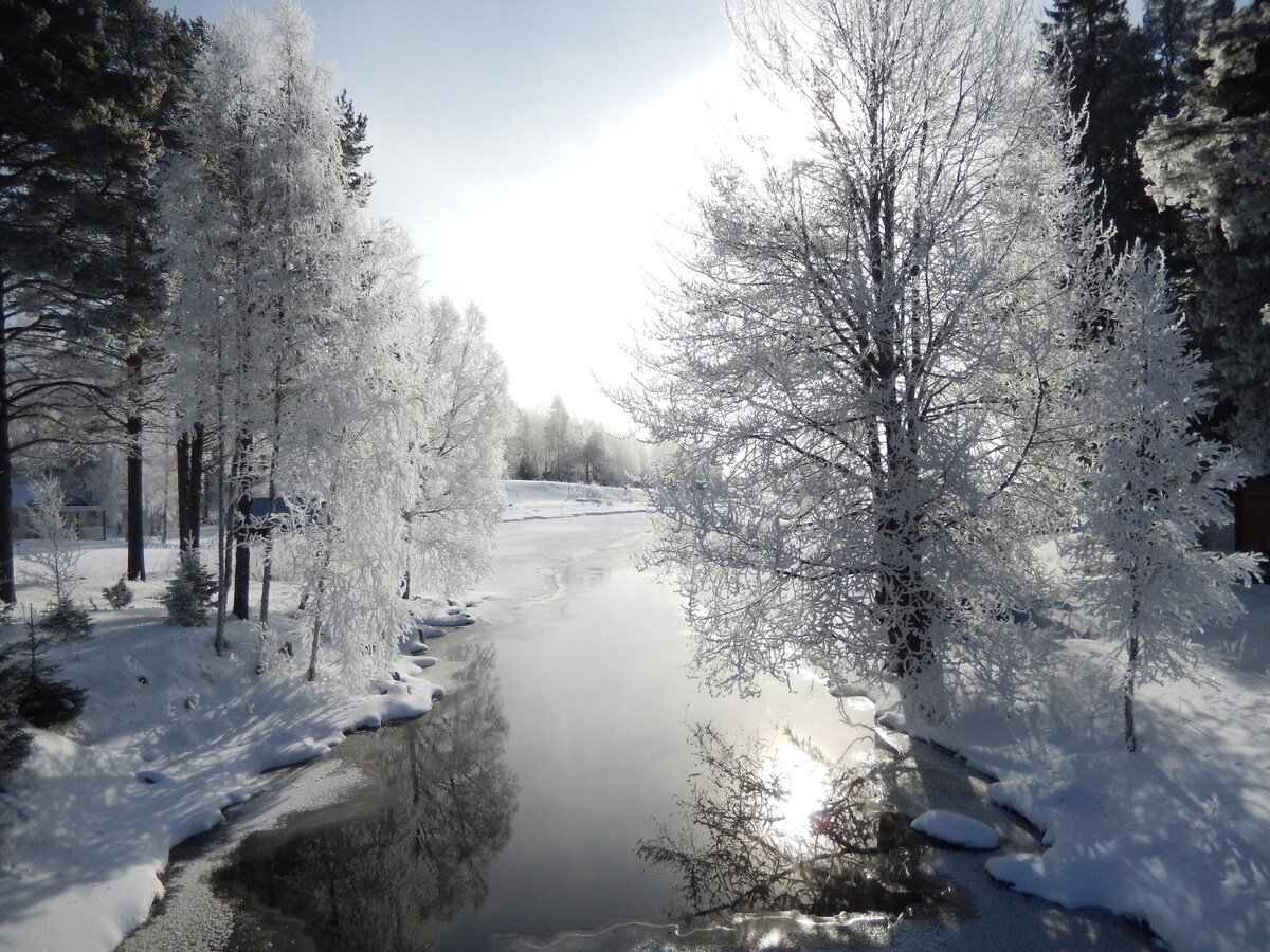 Svedjan ， 2号公寓，位于Hällesjö ，可欣赏美景