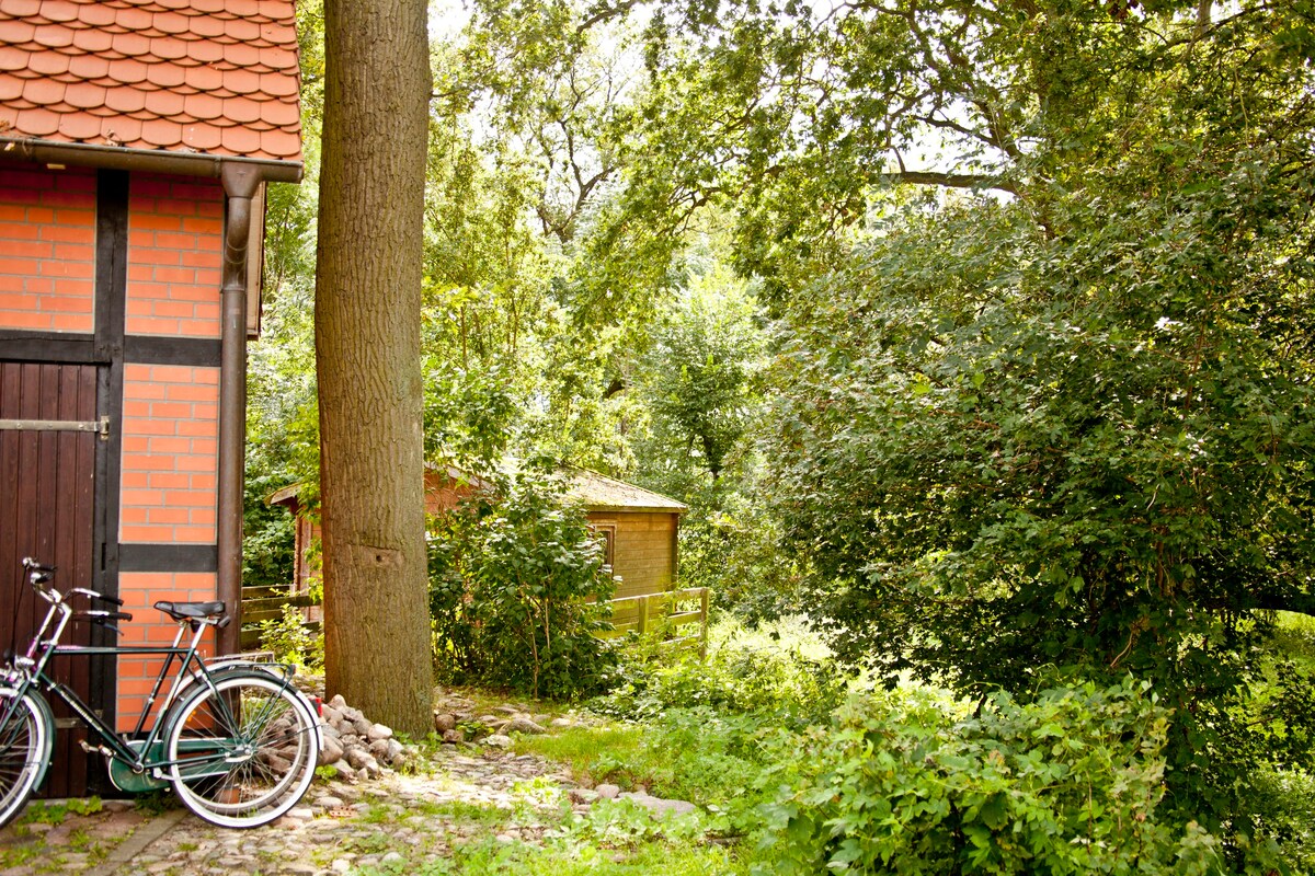 Rückzug vor dem Deich - Natural retreat