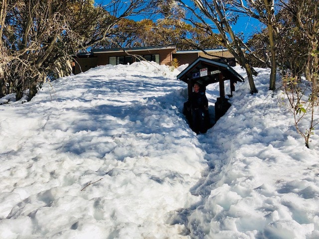 壮丽的滑雪MT BULLER -距离滑雪缆车450米