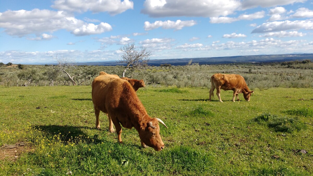 Descansa en un pueblecito y descubre Extremadura