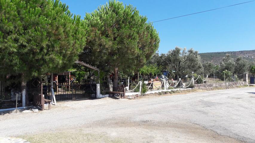 Babakale Köyü的民宿