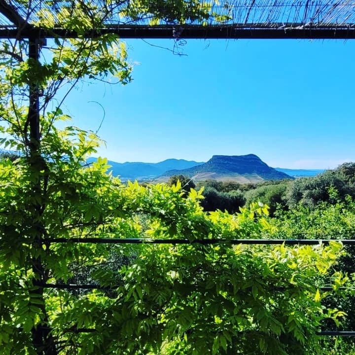 CHAMBRE SALECCIA Monte A Torra