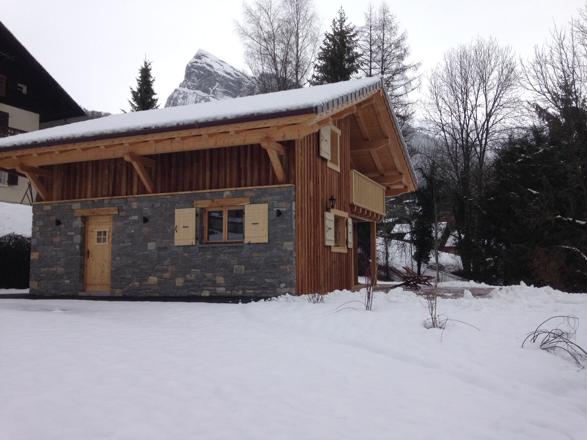 Chalet de charme grand confort SPA