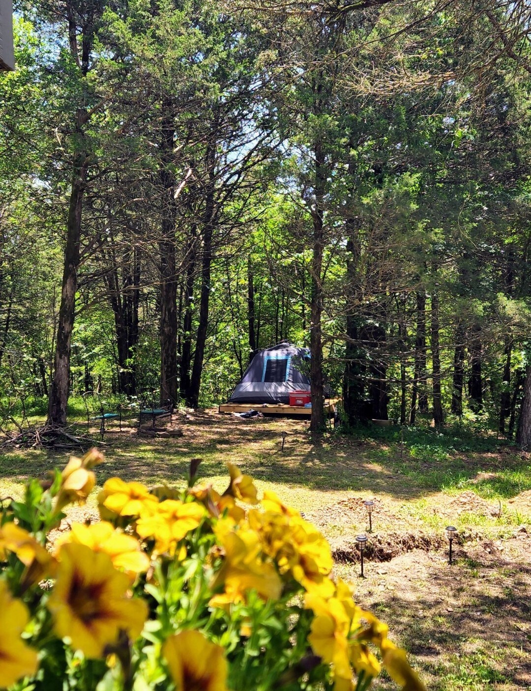 Tent Camping in the Barnyard - Camp Site 2