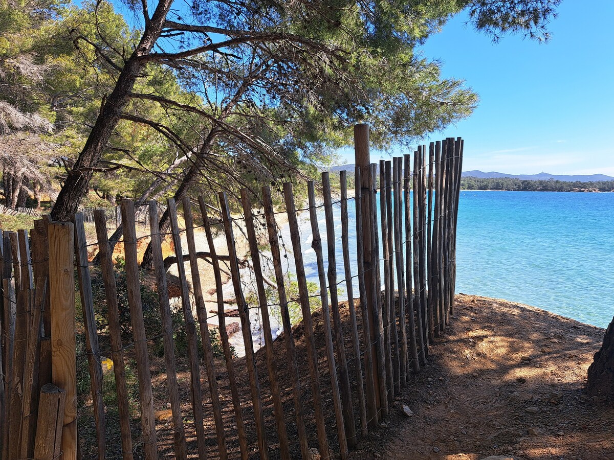 Hyères les palmiers entre ville et mer