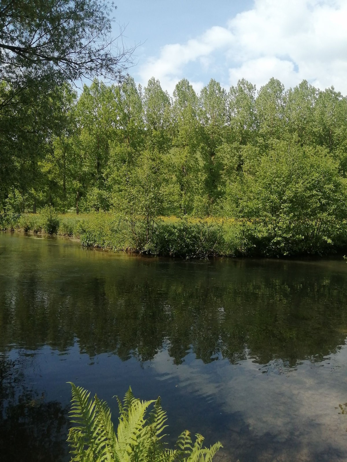 Le petit nid du Moulin