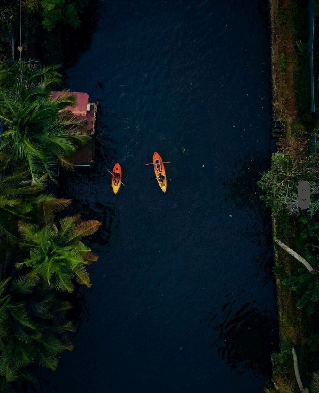 PMC度假村湖景岛（ Lakeview Island By PMC Resort ） ： Alleppey