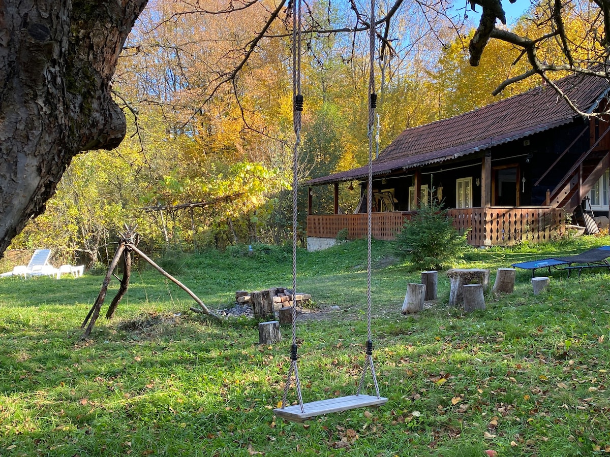 Transylvania Mountain Log Cabin - The Bliss House