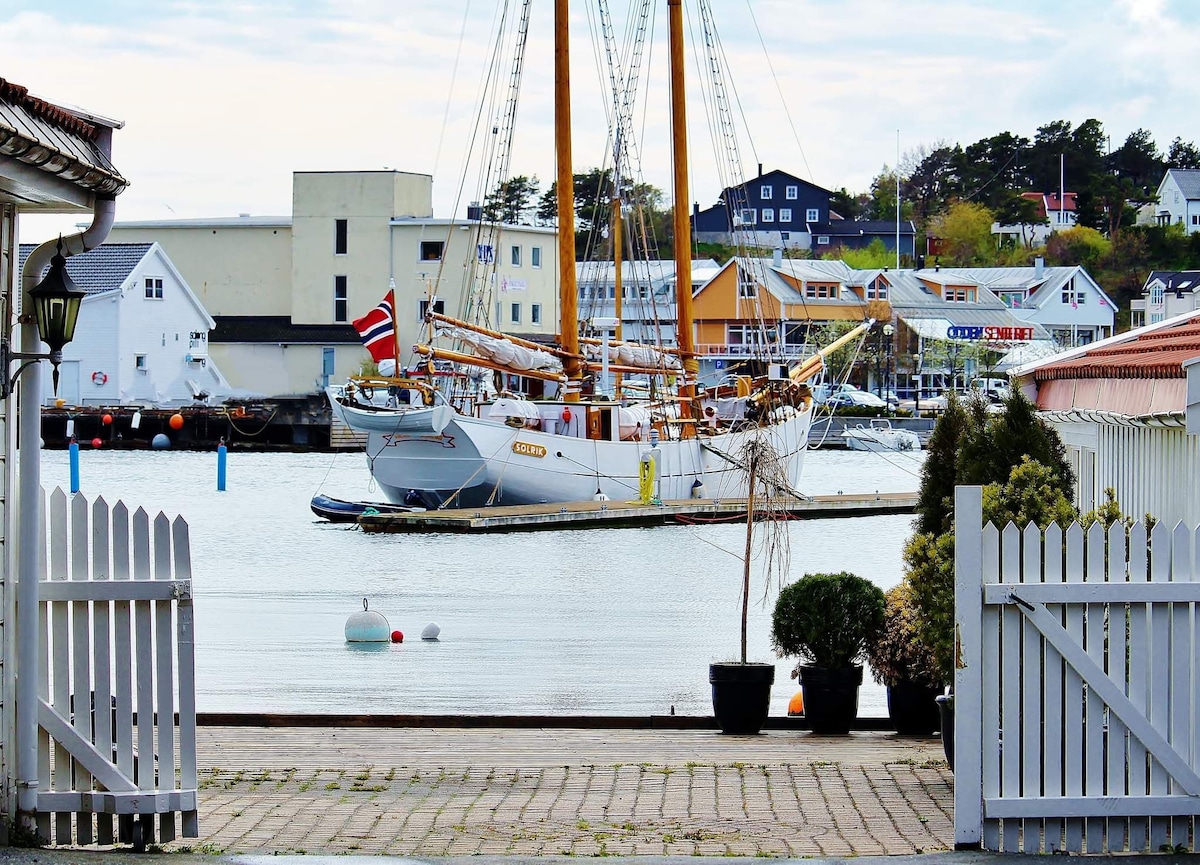 Moderne sentral leil. nær sjøen