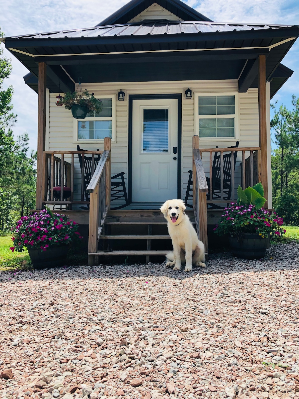 Windy Hill Cabin Rental