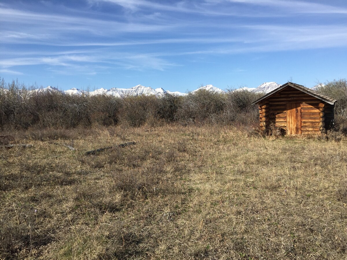 A log cabin in the woods