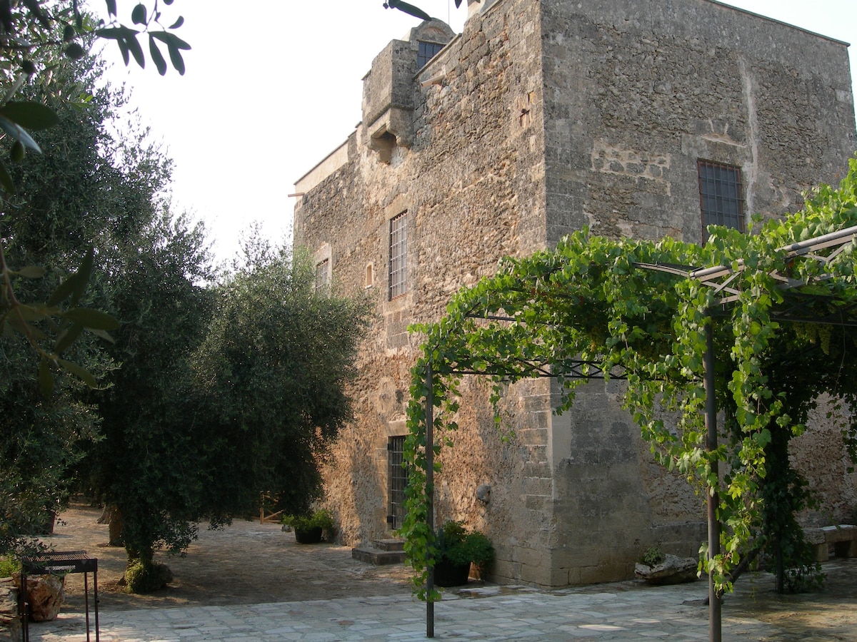 Wonderful estate (Masseria) - Loft Apartment