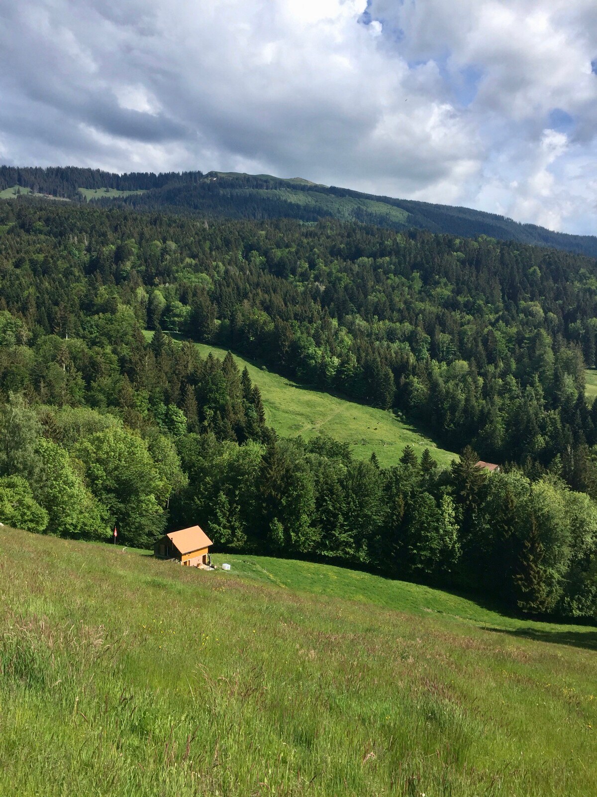 Offgrid cabin /Eco lodge