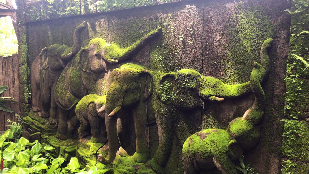 热带雨林庭院（6个房间可入住12位+两辆旅行车）