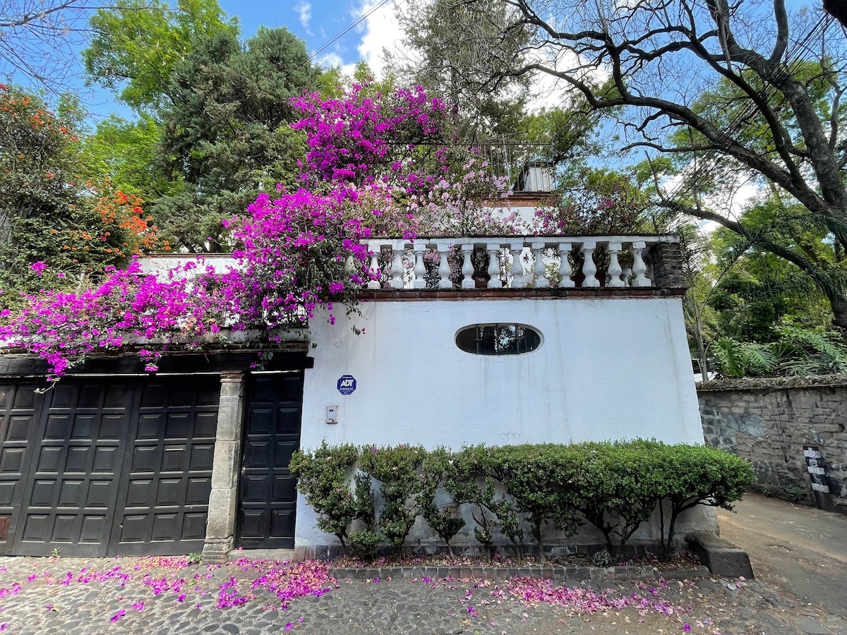 Casa Aguacate Coyoacan中心的温馨房屋