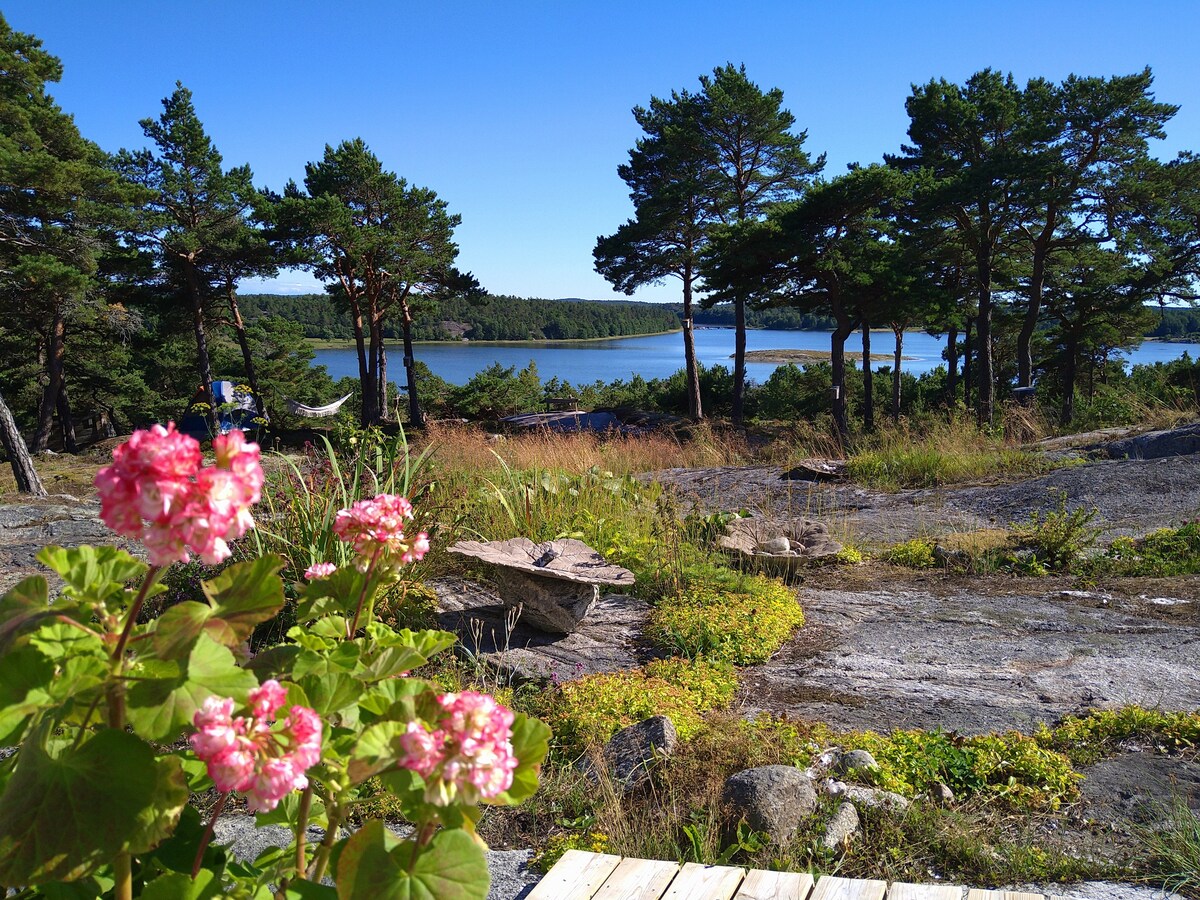 Hyr vårt sommarparadis på Rävö vid Kosterhavets nationalpark, bland talltoppar med utsikt över havet.