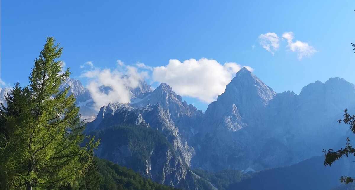 Gaby、Kranjska Gora、Gozd Martuljek公寓