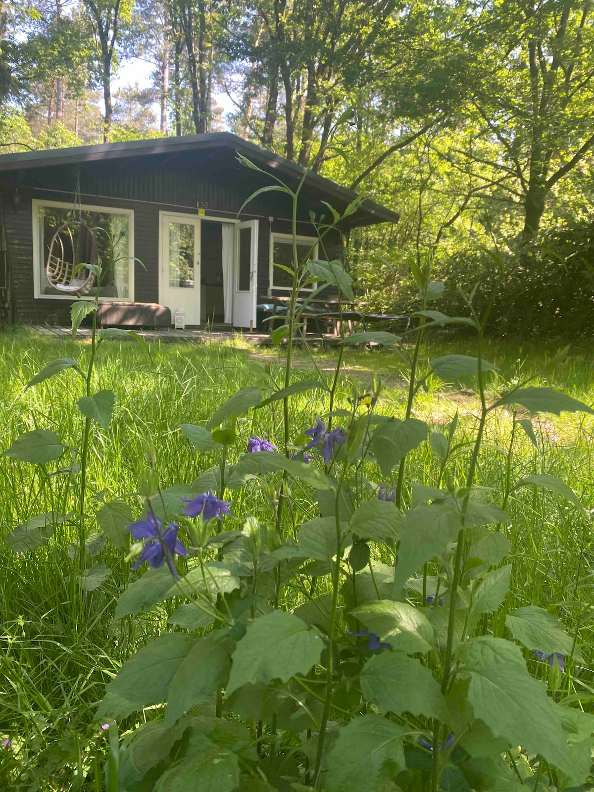 Woudhuisje Gellik in de Hoge Kempen