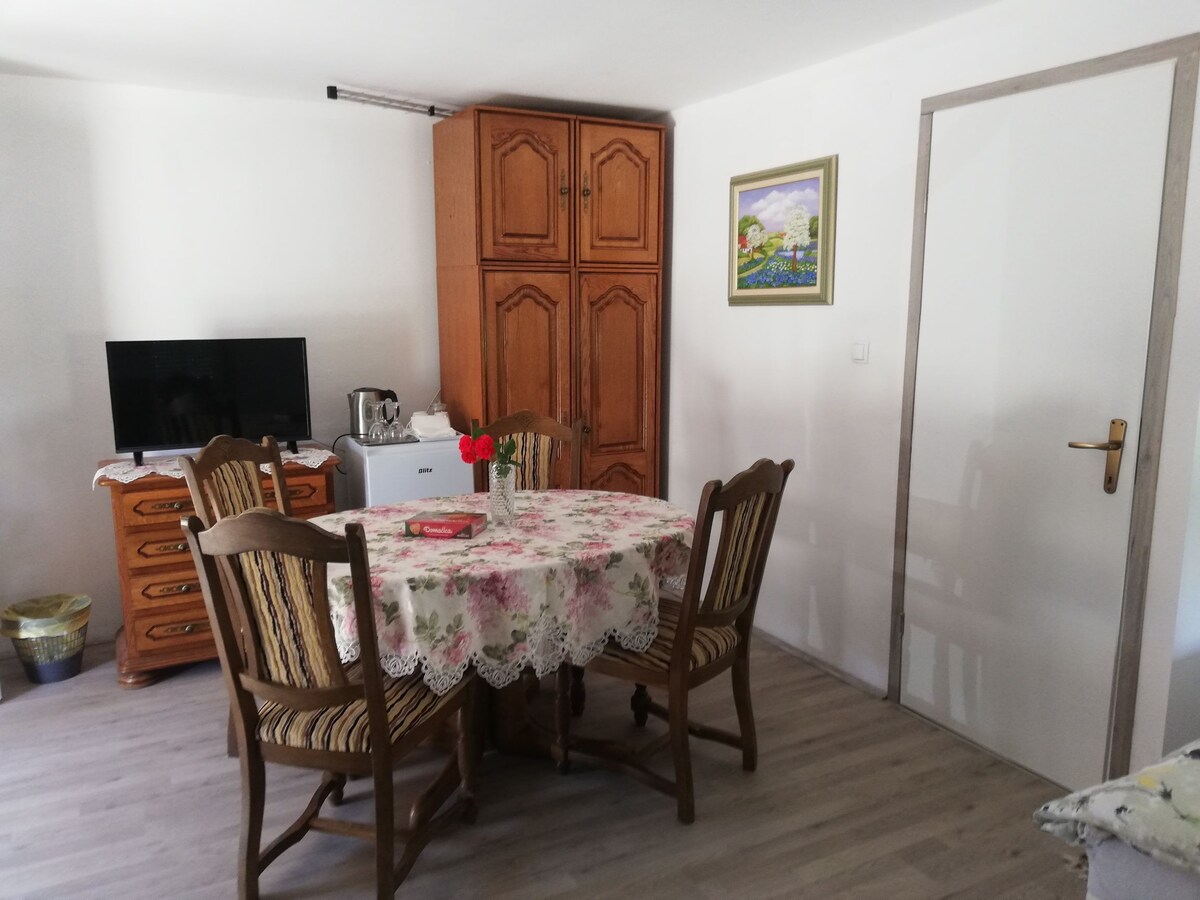 Studio apartman Ervi