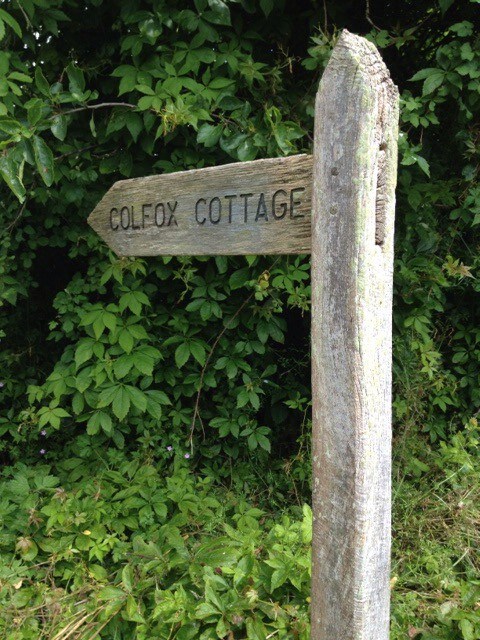 Colfox Cottage - light, sunny, comfortable cottage
