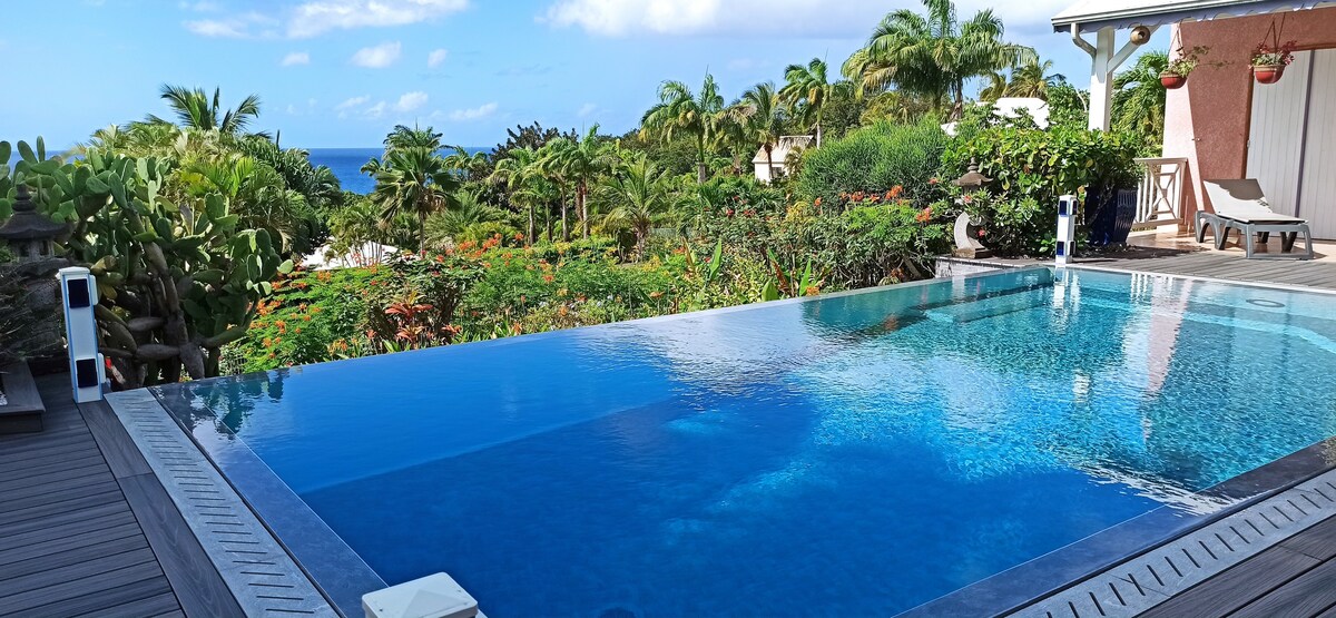 Villa de standing avec  vue mer, piscine et spa