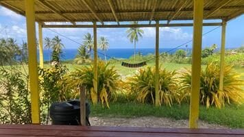 Hammock Stay (2) - Camping Barbados