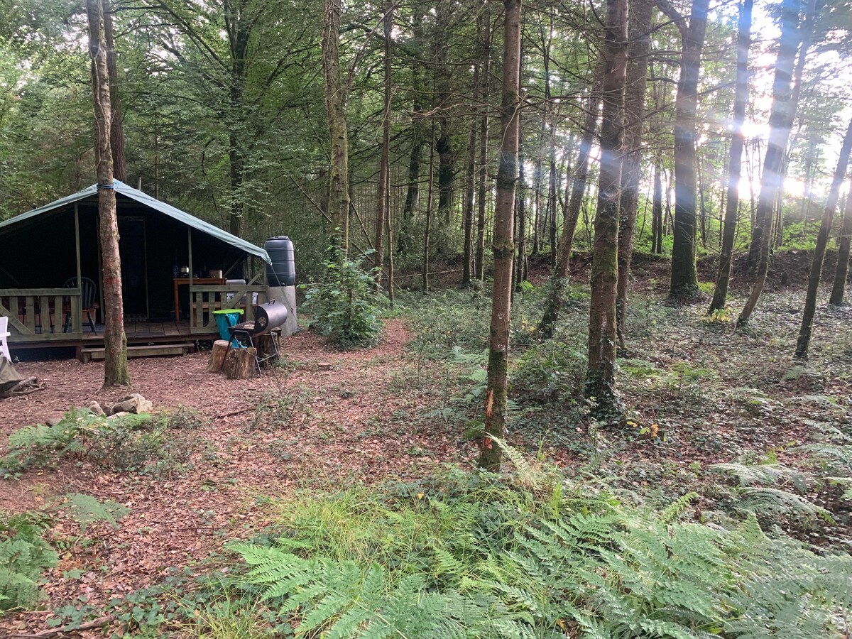 Restful Retreat – Camp One