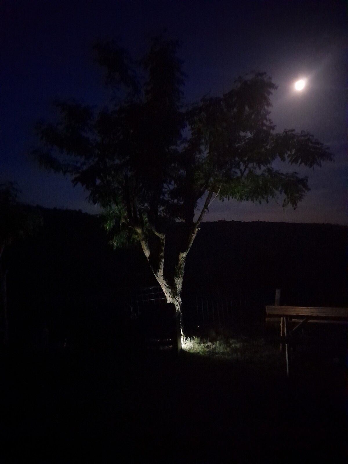 Nuit étoilée dans le canyon