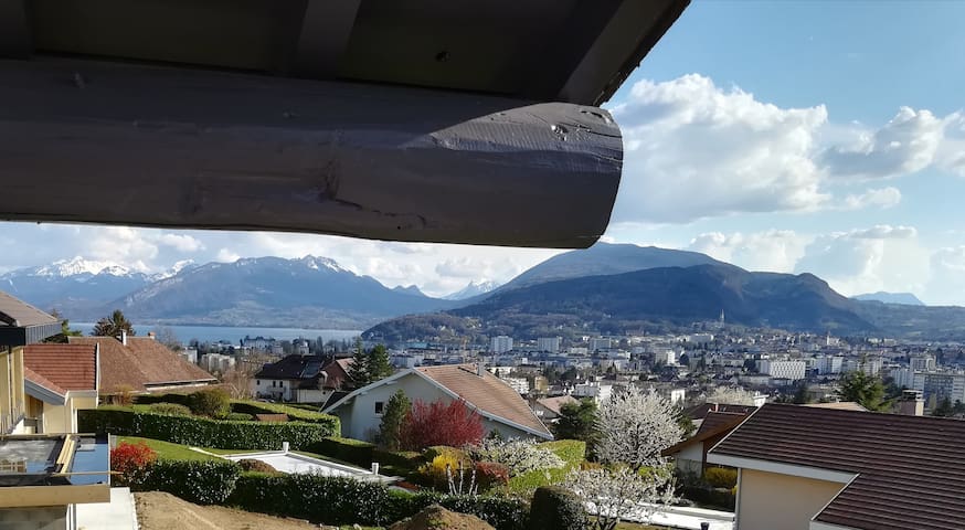 安锡勒维厄(Annecy-le-Vieux)的民宿