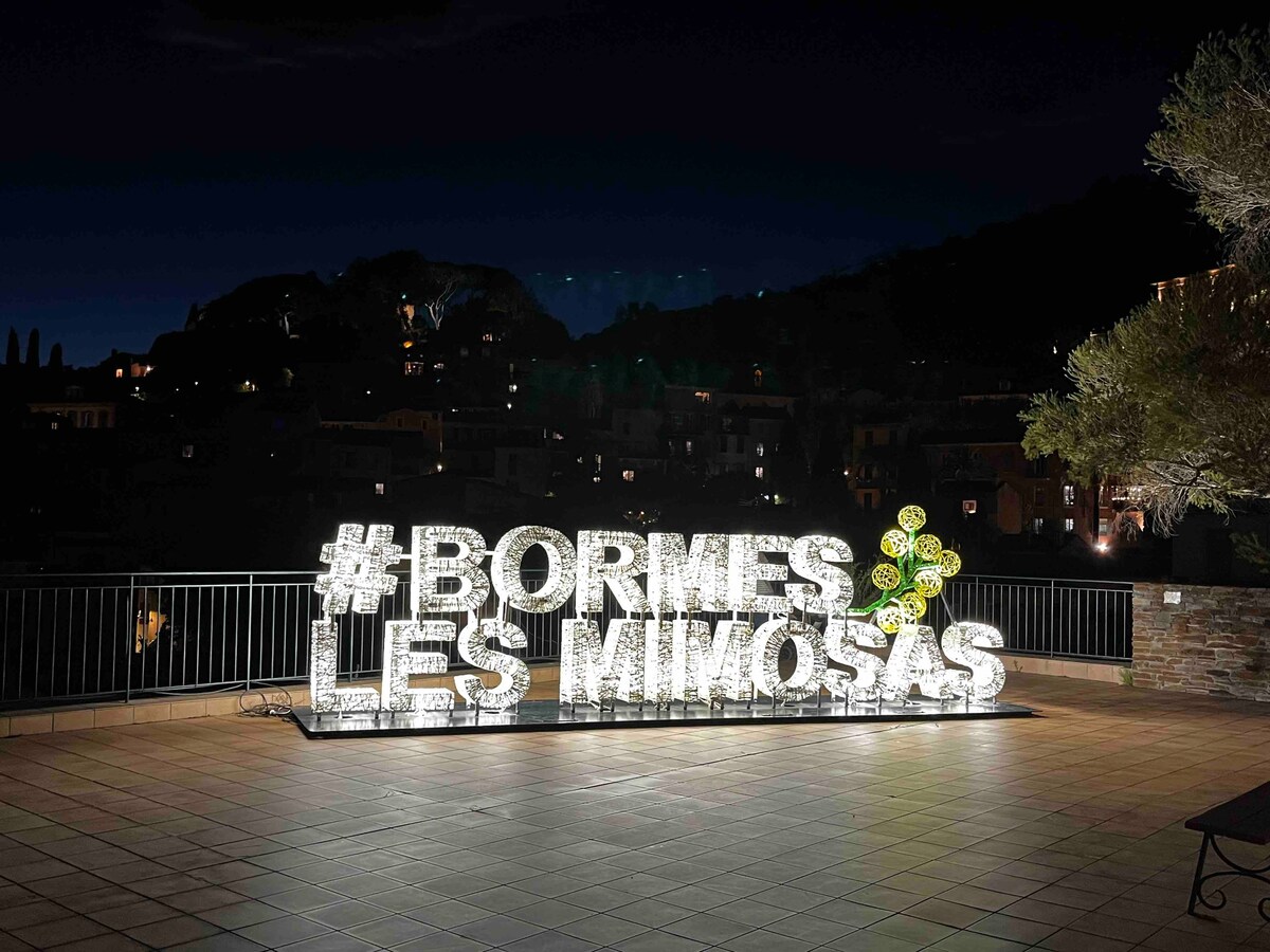 Bormes les Mimosas令人惊叹的景色