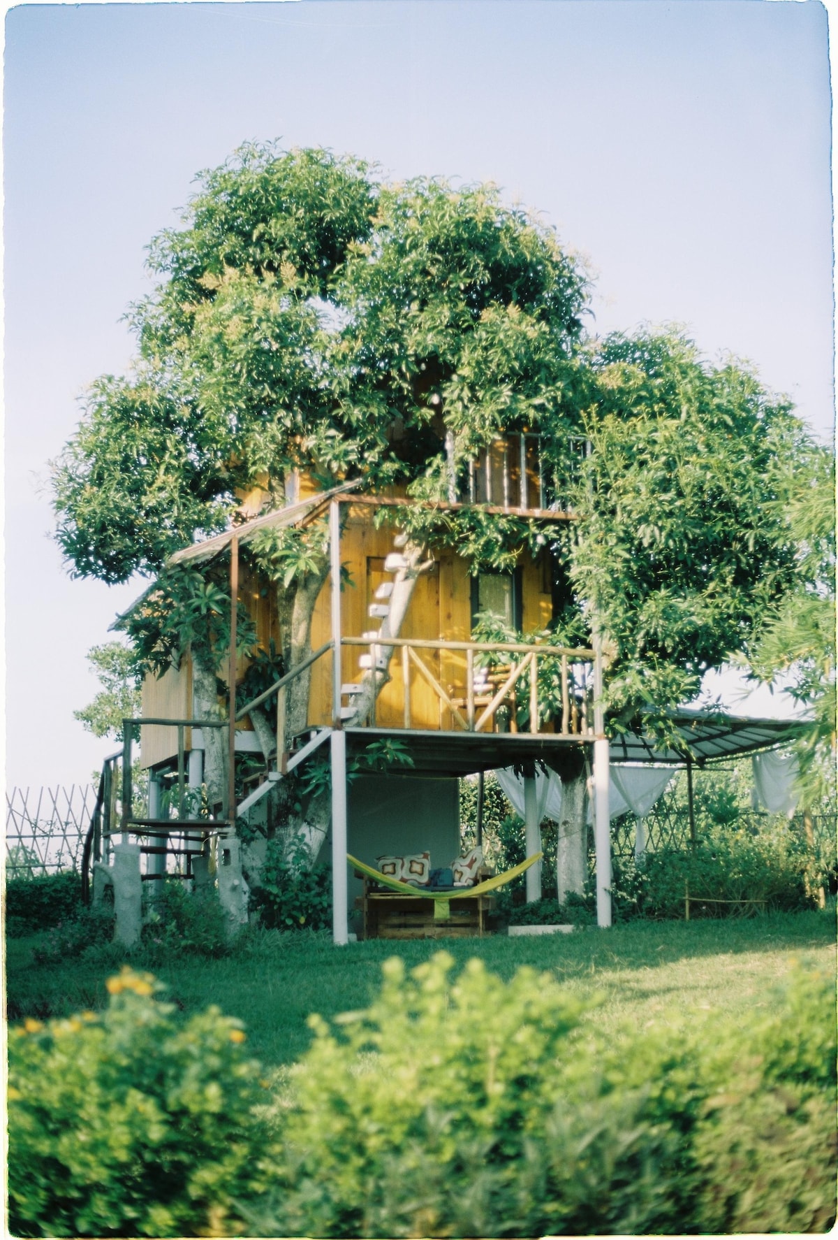 Mango - Mango House - Okia Treehouse Ba Vi