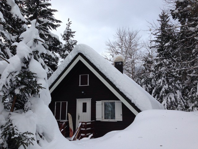 Chalet au pied des pistes dans la forêt, classé 3*